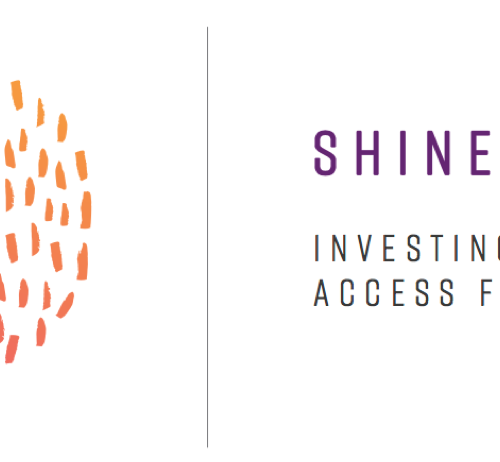 GDC and Shine Campaign Launch 2019 Clean Energy Access Report