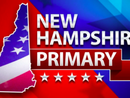 New Hampshire Primary e1581433653296