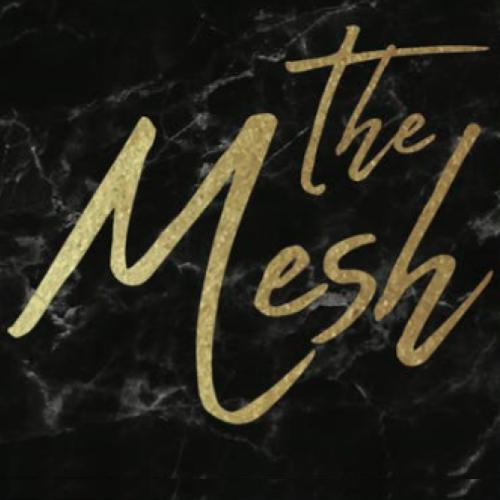 The Mesh! Where DMV Young Black Professional Singles Come to Mix & Mingle