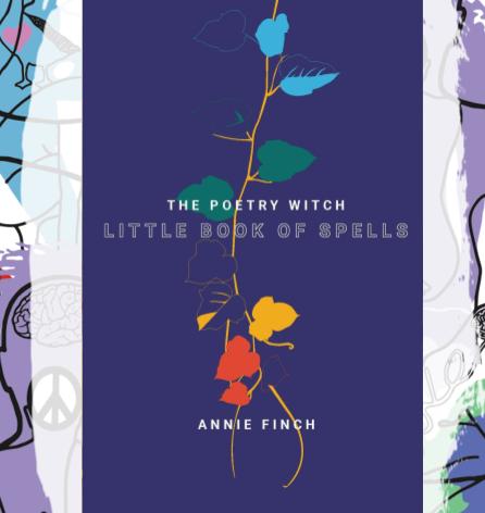 Busboys Books Presents: The Poetry Witch Little Book of Spells by Annie Finch