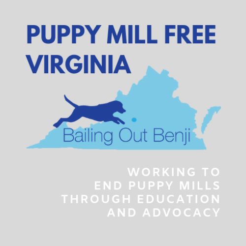 Puppy Mill Free Virginia Launch Party