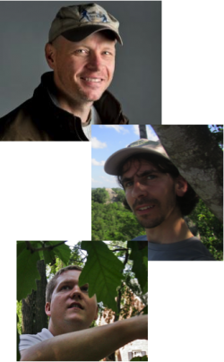 A DC Science CafÃ© Event: Three Trillion Trees