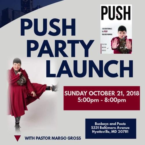 PUSH Party Launch