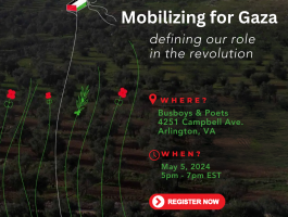 Mobilizing for Gaza Defining Our Role In The Revolution 1