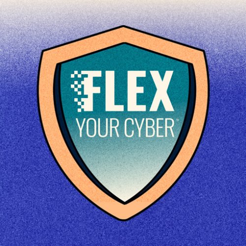 Flex Your Cyber: Elevate Your Cybersecurity Game