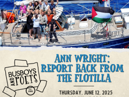 Ann Wright Flotilla