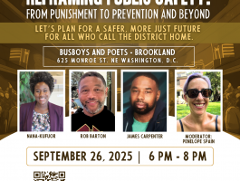 Reframing Public Safety (7)