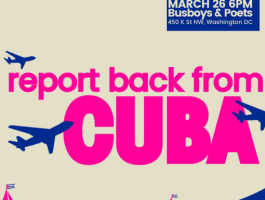 Code Pink March 26 26