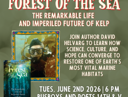 Forest of the Sea UPDATED square icon